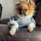 Melvin profile
