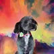 Bella P profile