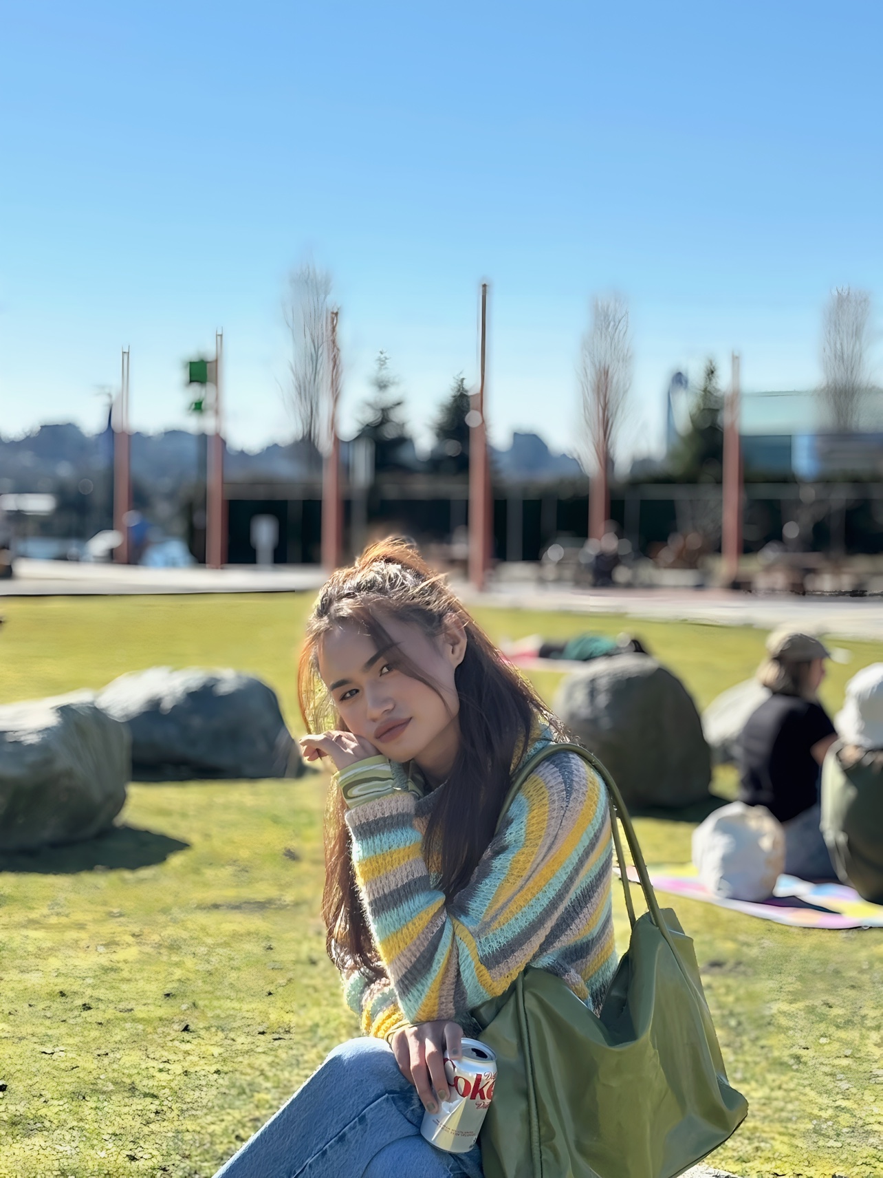 Nova profile