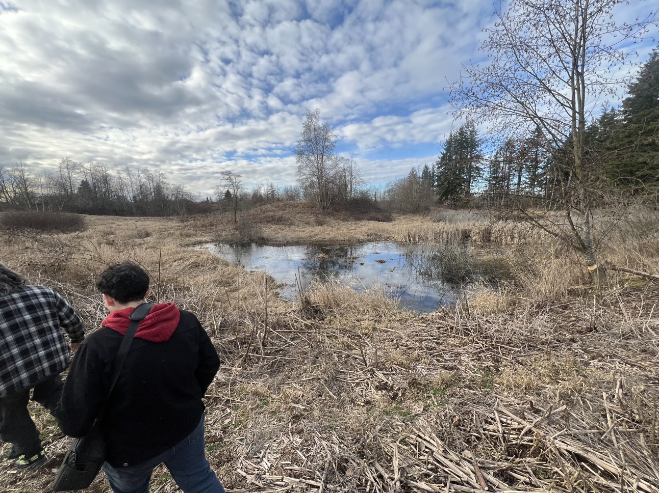 Merle coffin profile