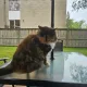 precious profile