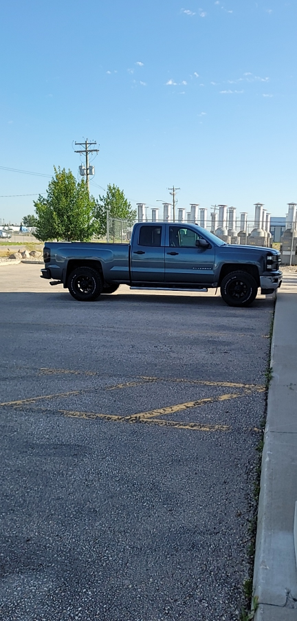 Matty curtis profile