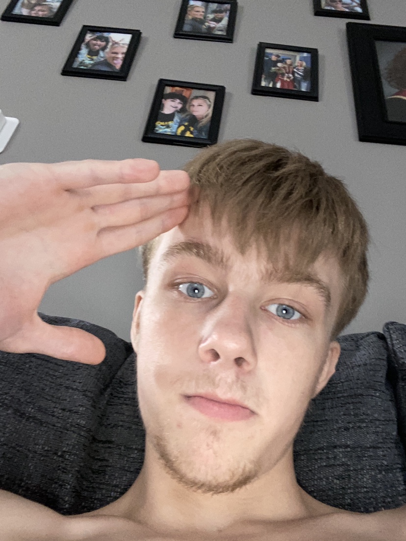 Stewie profile