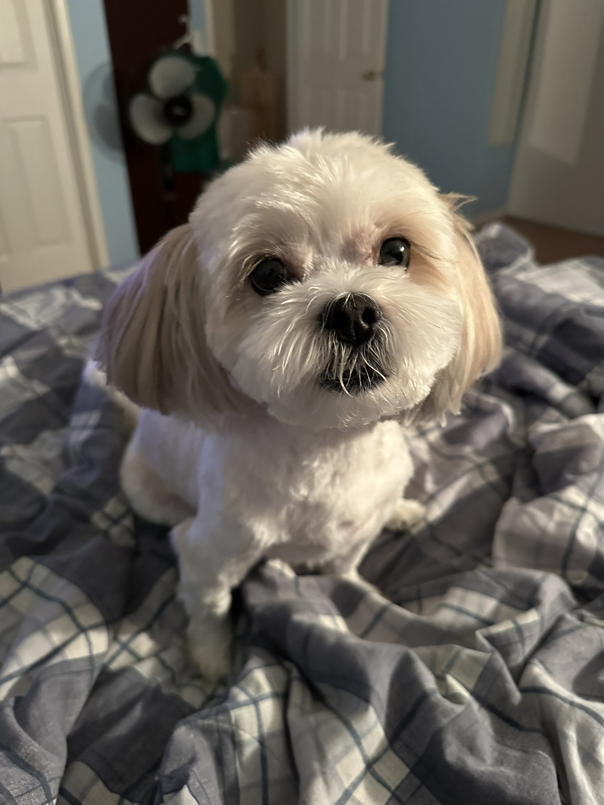 Cj profile