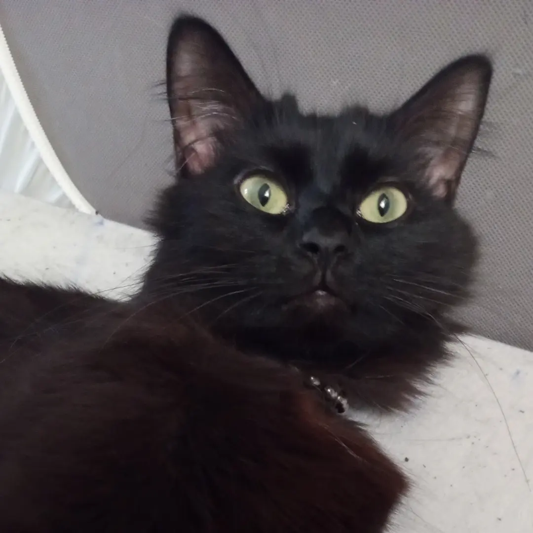 Esperanza Pena profile