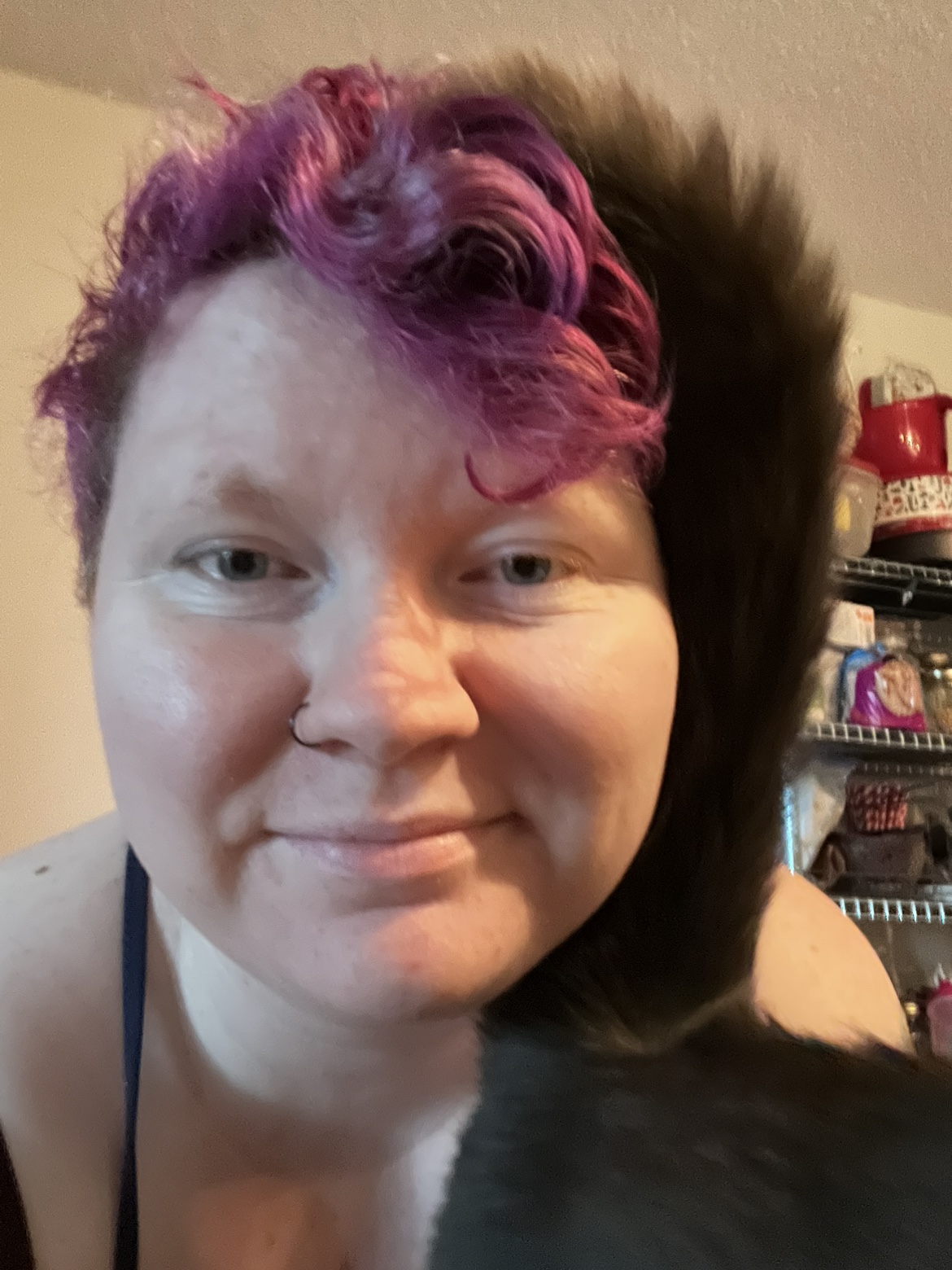 Strewbs profile