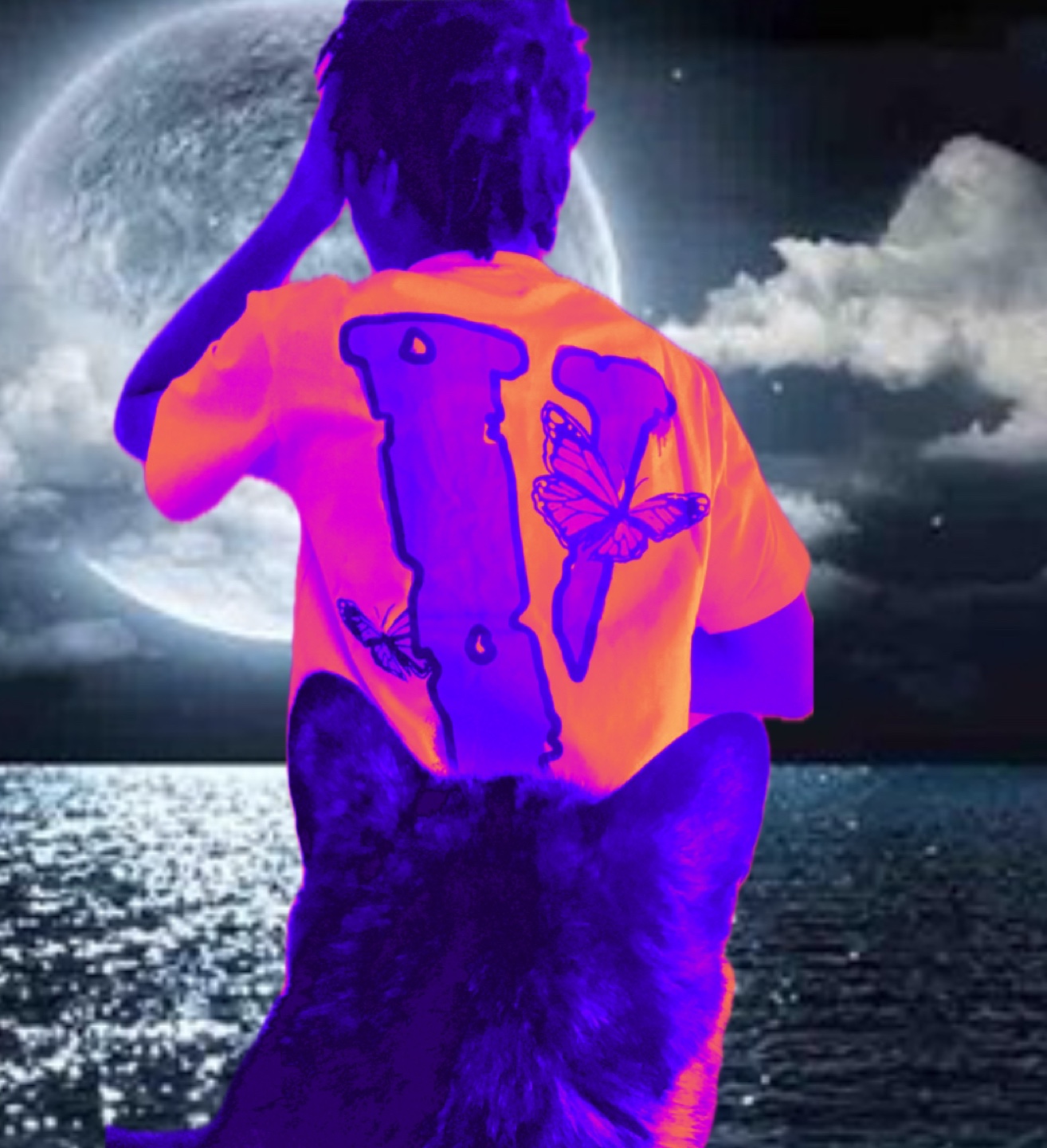 James profile
