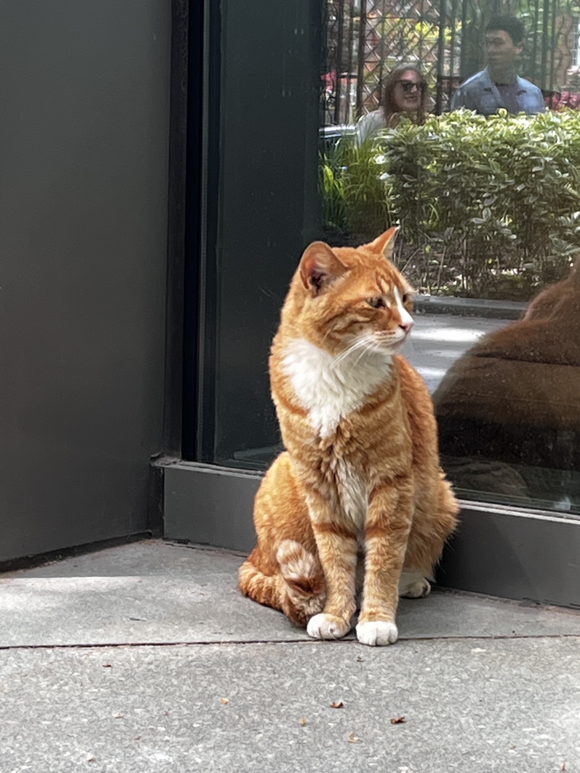 TeddySuper profile
