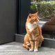 TeddySuper profile