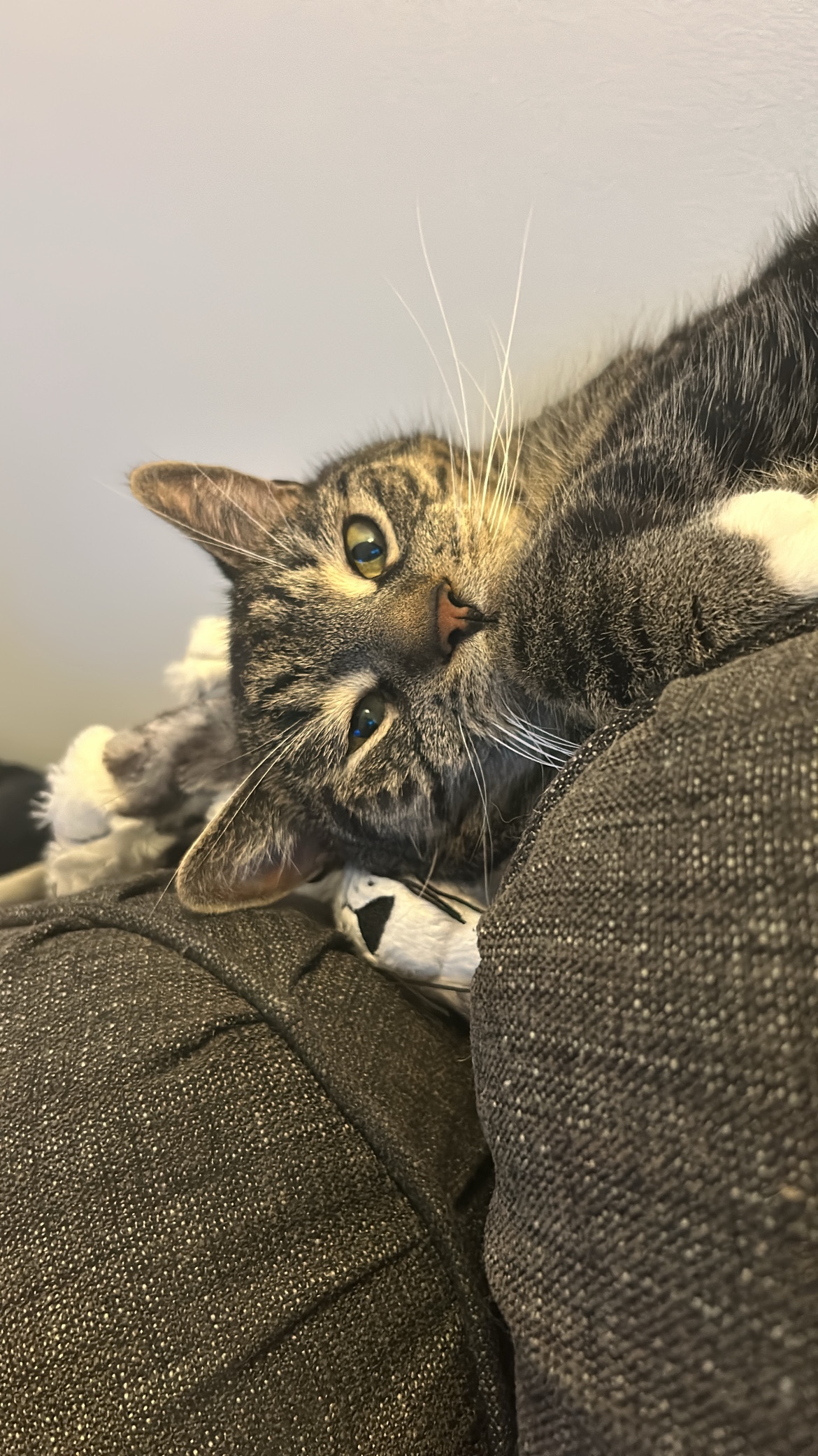 Kenna profile