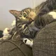 Kenna profile