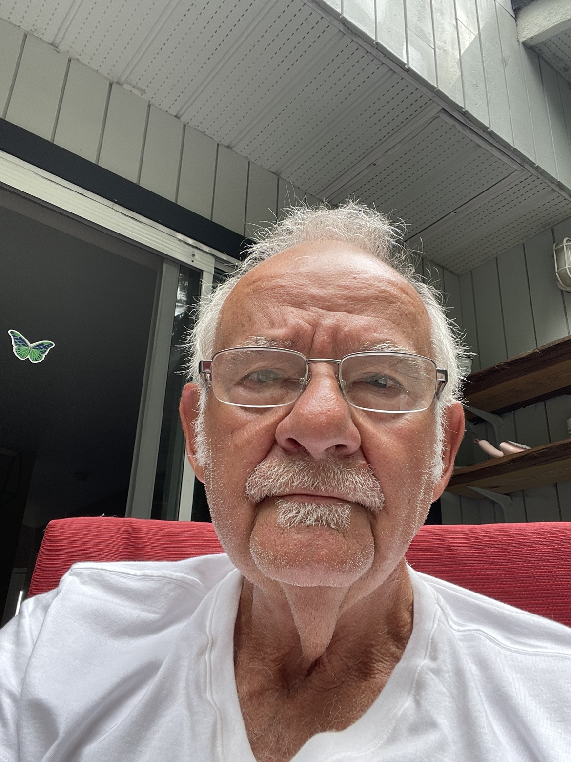 Don profile