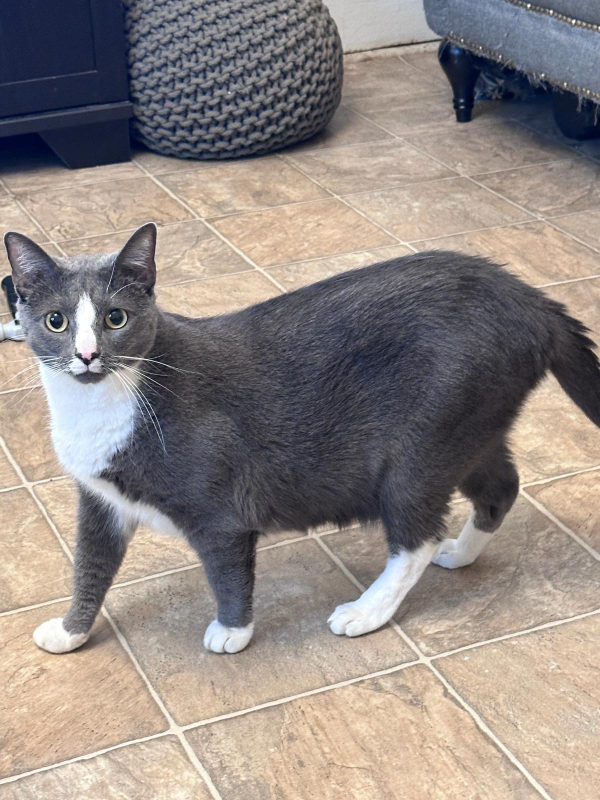 jerry zavala profile