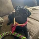 Tara profile