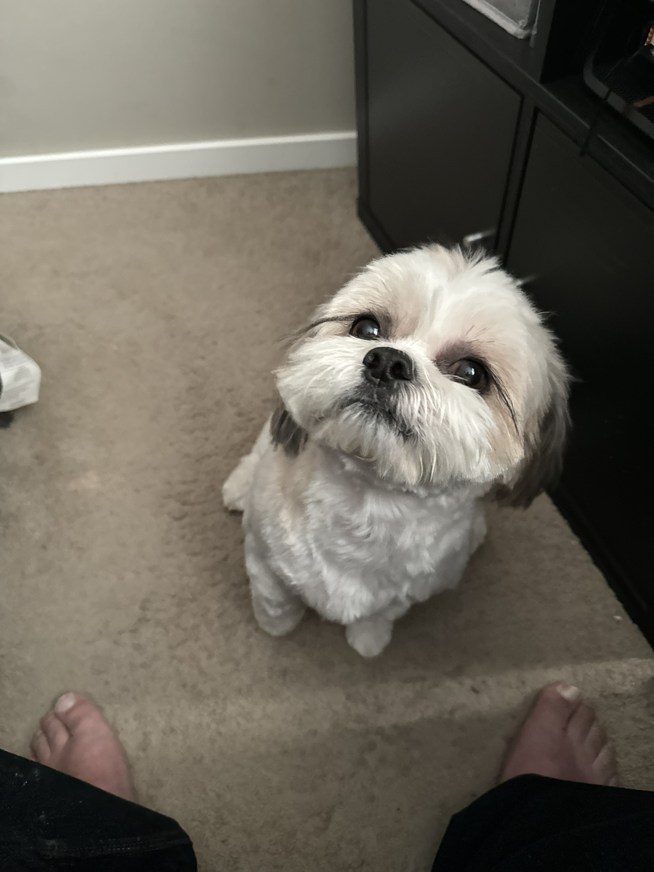 Koda profile