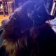 Jess profile