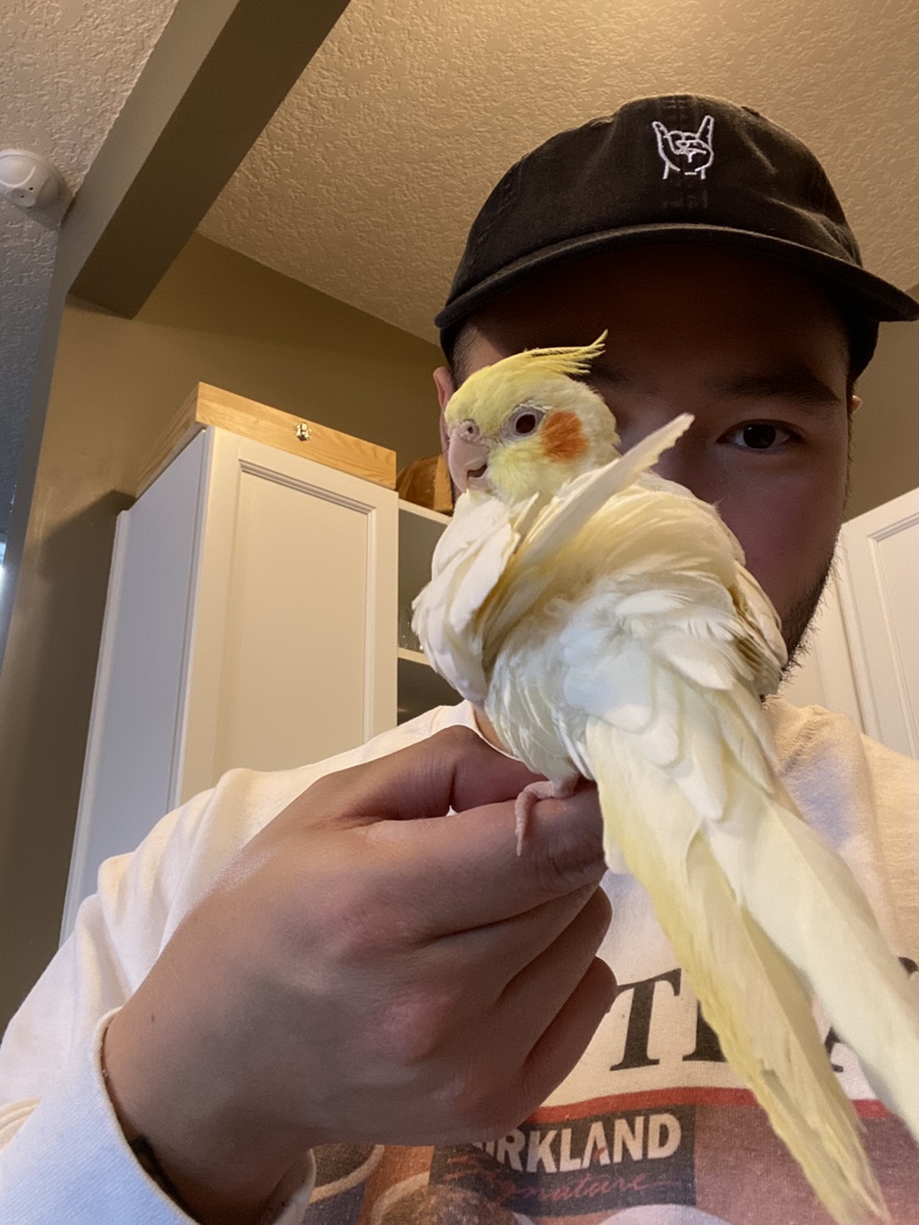 Brian profile