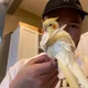 Brian profile