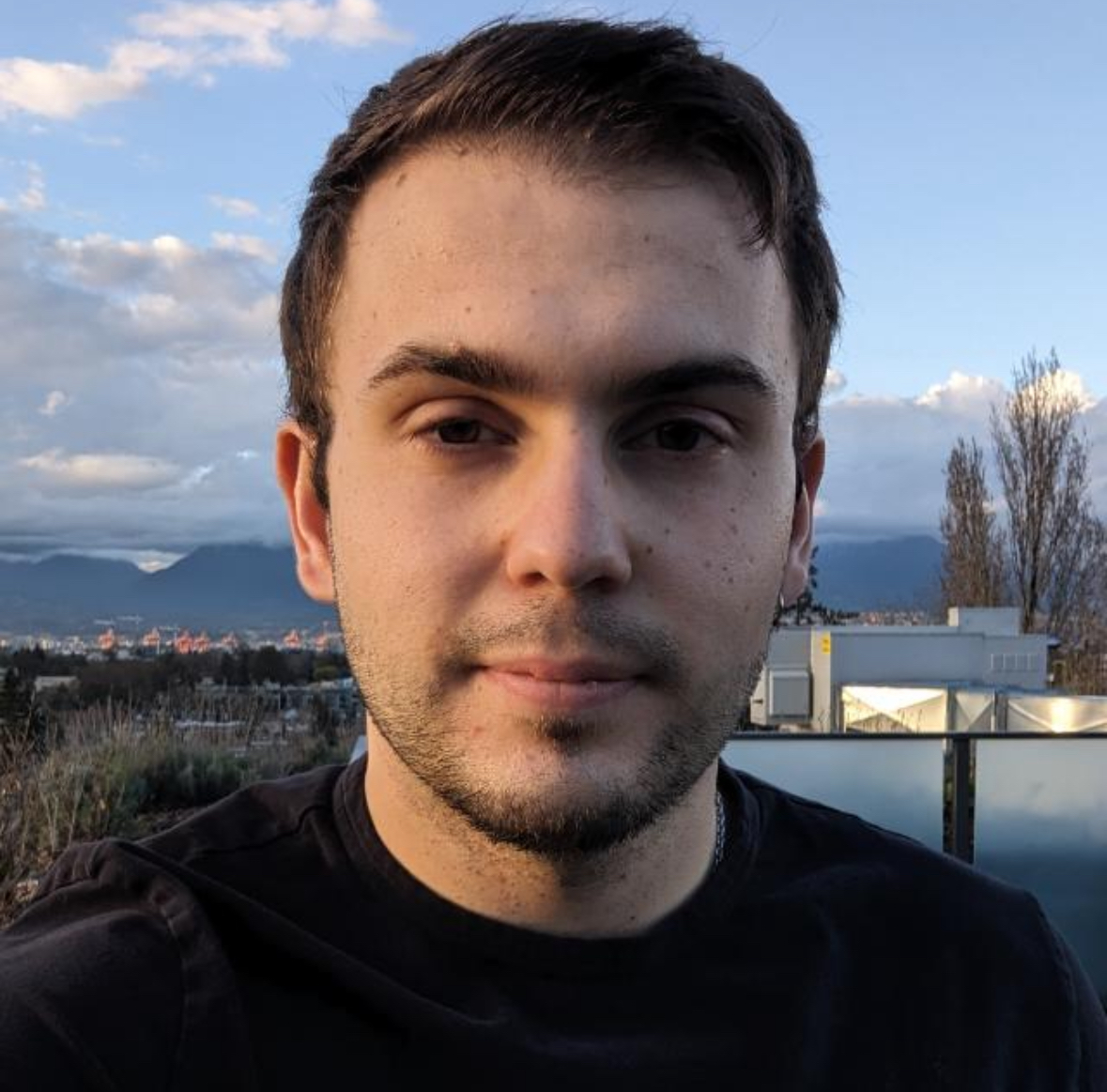 Vladimir profile