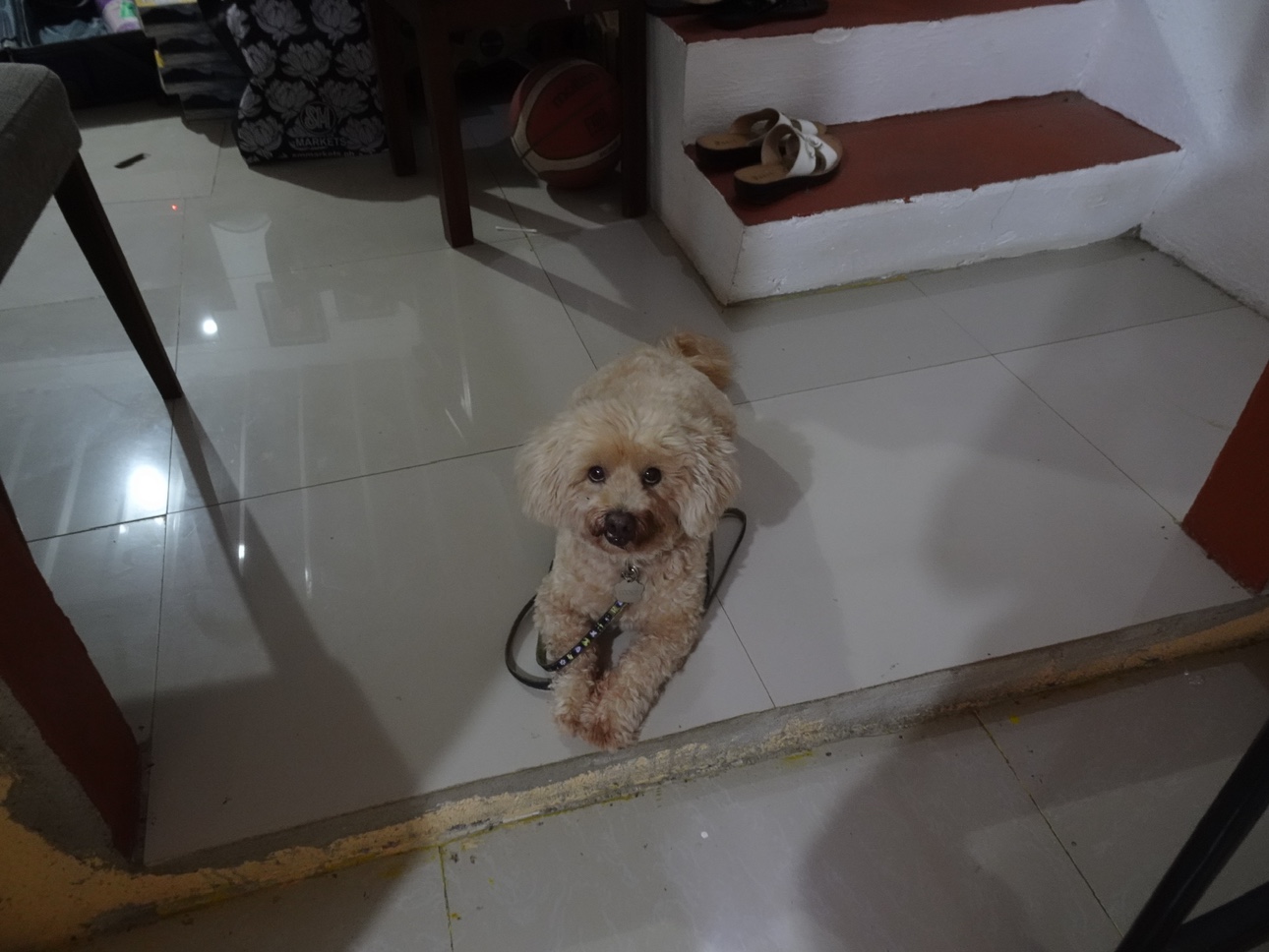 Louiegee profile