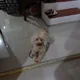 Louiegee profile