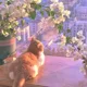 Anny K profile