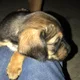 Swetha profile