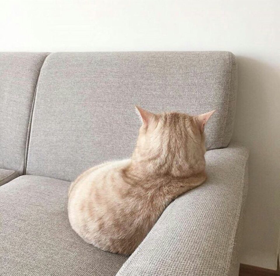 suuzz profile