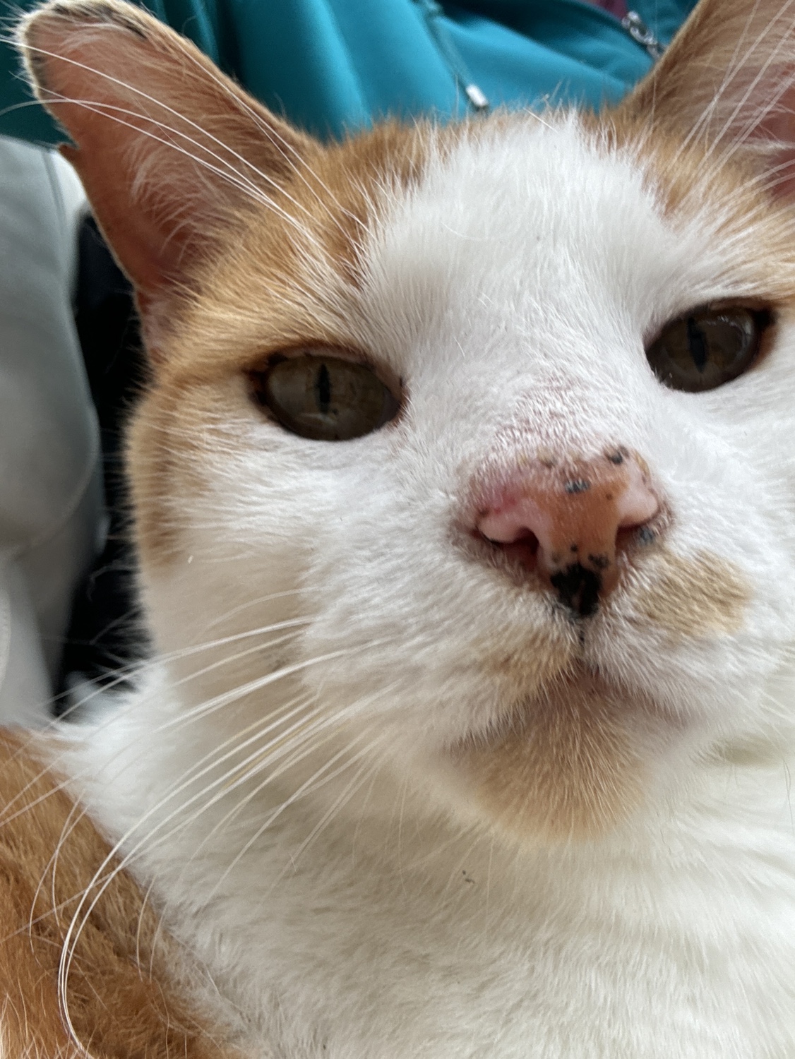 Jackie profile