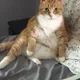 Lori profile