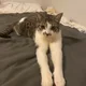 Kena profile