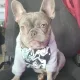 theboywonder profile
