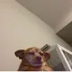 Jenny profile