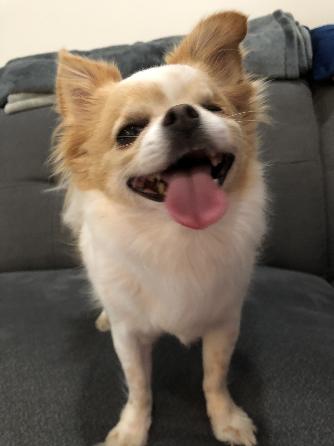 Libby profile